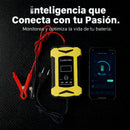 CARGADOR DE BATERIA INTELIGENTE